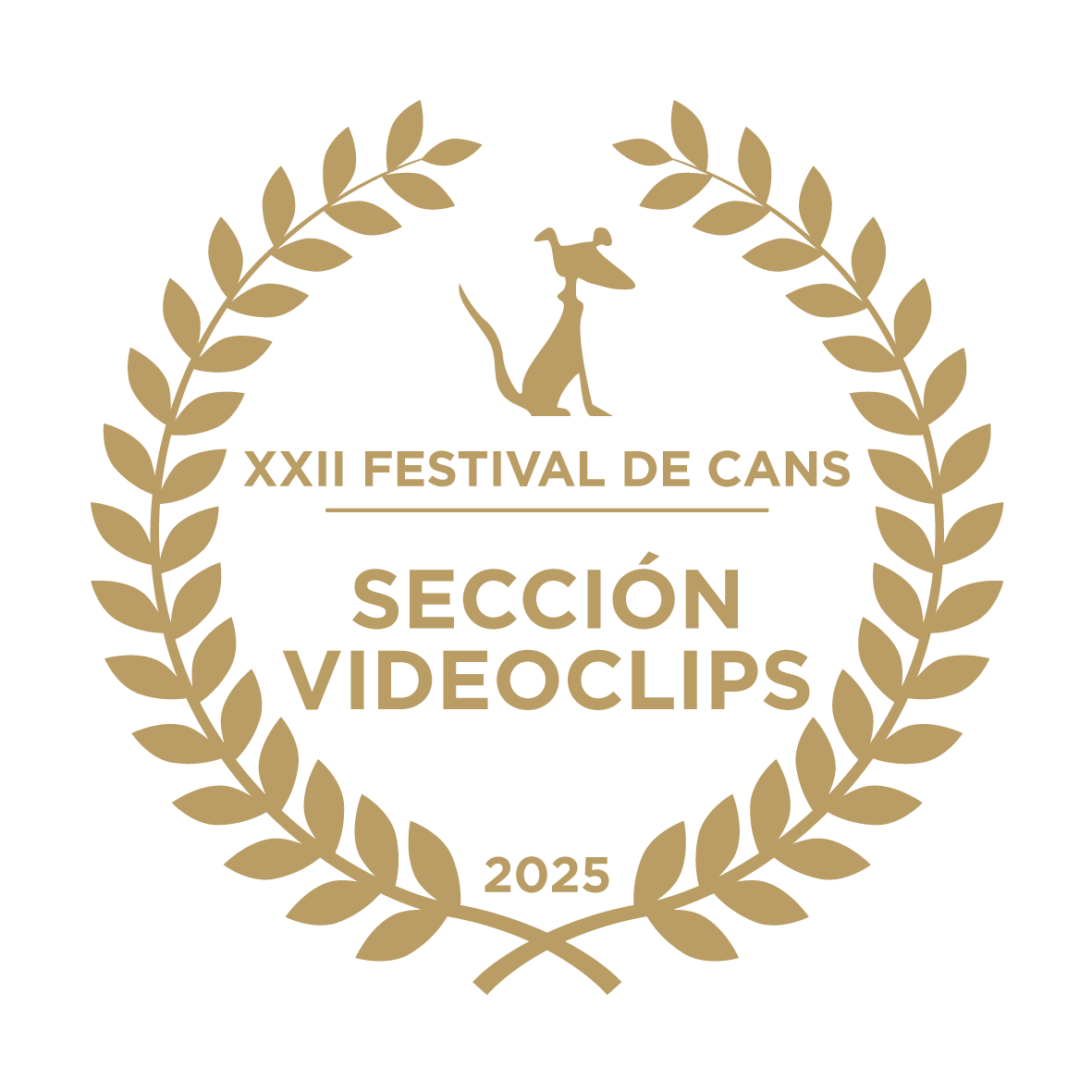 Festival / selección